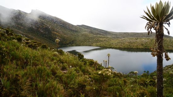 Conservation Biology