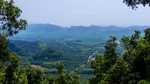Testing theory in landscape ecology